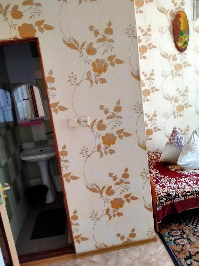 Гостевой дом У ЛЮБАШИ Железный Порт-39